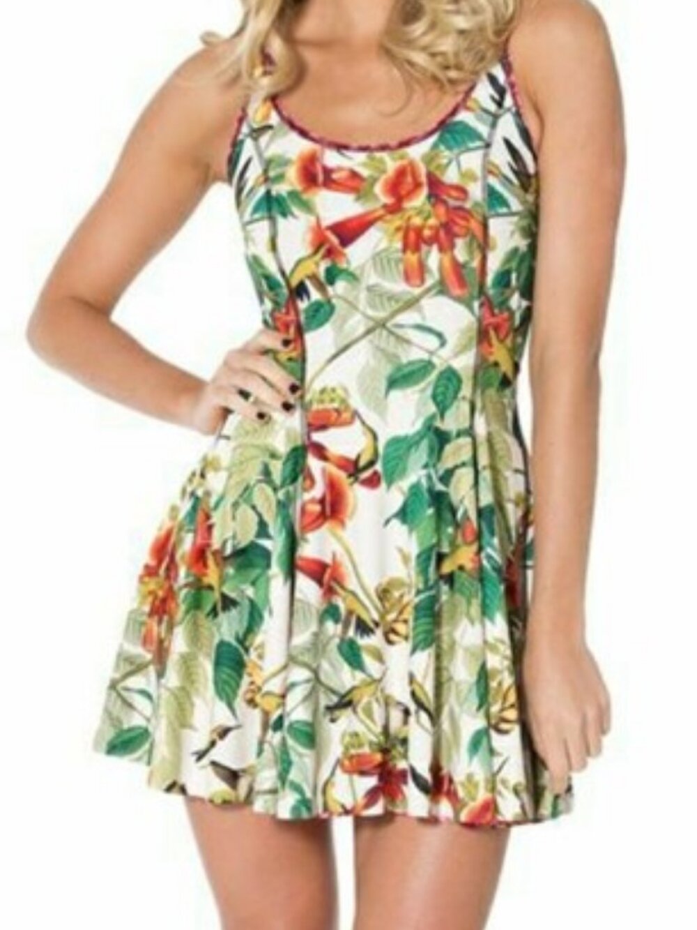 Blackmilk Brer Rabbit vs Hummingbirds IOD Dress Medium M